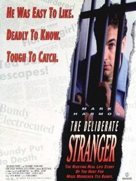 Obezřetný cizinec.jpg